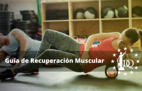 Guía de Recuperación Muscular