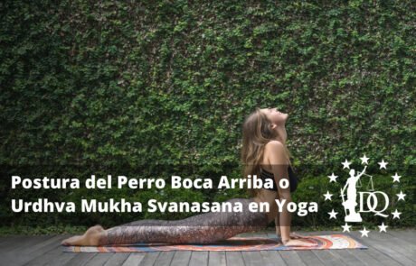 Cómo Hacer la Postura del Perro Boca Arriba o Urdhva Mukha Svanasana en Yoga