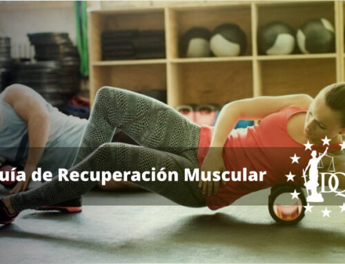 Guía de Recuperación Muscular