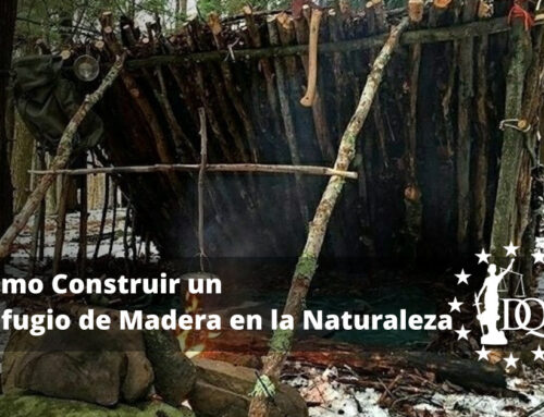 Cómo Construir un Refugio de Madera en la Naturaleza