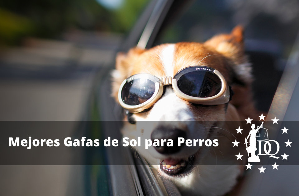 Mejores Gafas de Sol para Perros