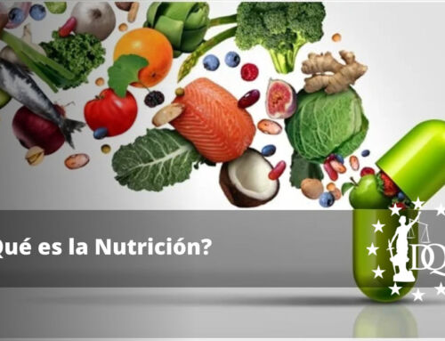 ¿Qué es la Nutrición?: En Busca de una Alimentación Saludable