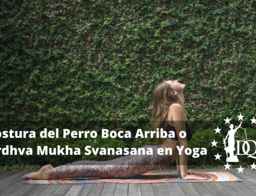 Cómo Hacer la Postura del Perro Boca Arriba o Urdhva Mukha Svanasana en Yoga