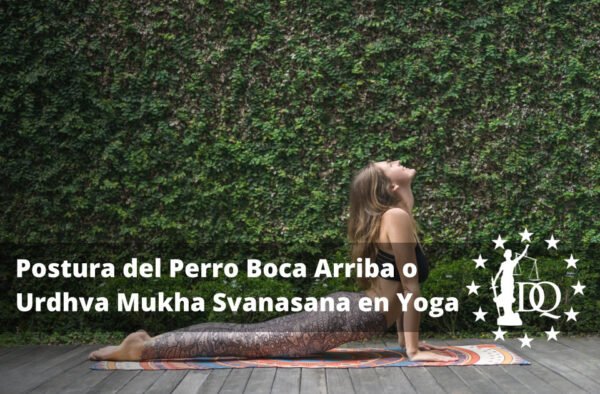 Cómo Hacer la Postura del Perro Boca Arriba o Urdhva Mukha Svanasana en Yoga