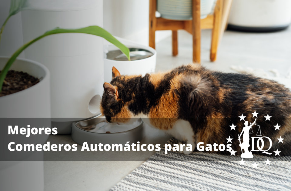Mejores Comederos Automáticos para Gatos