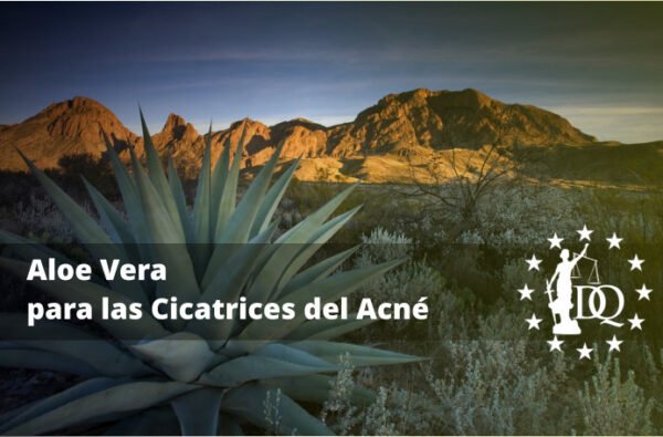 Aloe Vera para las Cicatrices del Acné