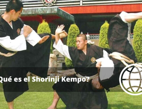 ¿Qué es el Shorinji Kempo?