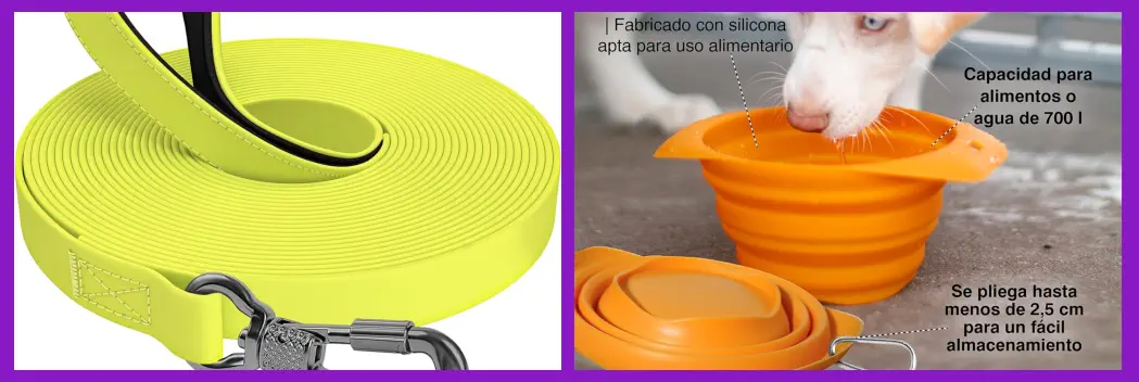 Accesorios Imprescindibles para ir de Camping con Perros