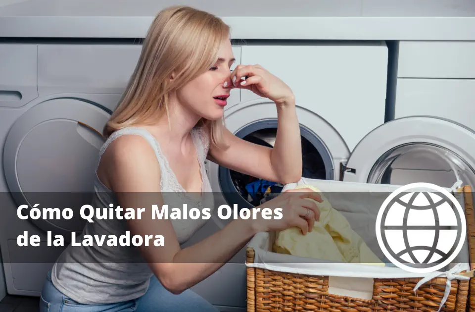 Cómo Quitar Malos Olores de la Lavadora Causas y Soluciones Definitivas
